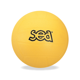 Ballon de volley initiation